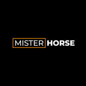Mister Horse AI