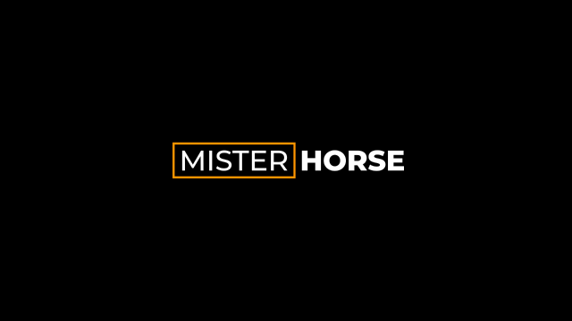 Mister Horse AI